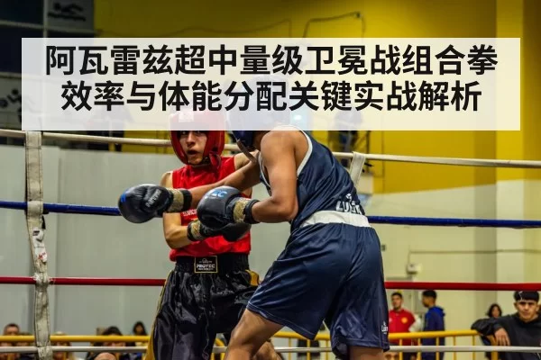 阿瓦雷兹超中量级卫冕战组合拳效率与体能分配关键实战解析 | NG28